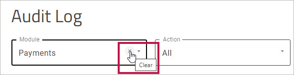 Reset Audit Log filter